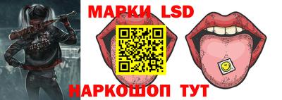 спиды Кингисепп