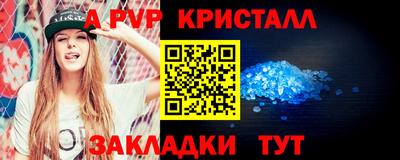спиды Кингисепп