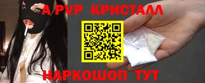 спиды Кингисепп
