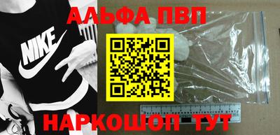 спиды Кингисепп