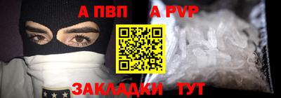 спиды Кингисепп